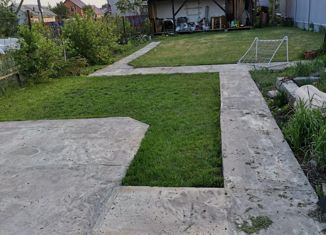 Продажа дома, 24 м2, село Власиха, улица Мамонтова, 181/397