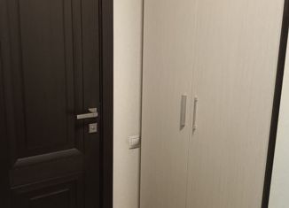 Продаю 1-комнатную квартиру, 19.8 м2, Нижний Новгород, Новокузнечихинская улица, 4, метро Горьковская