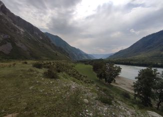 Продается участок, 76.5 сот., село Куюс, Центральная улица