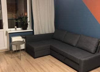 Сдается в аренду квартира студия, 25 м2, Мурино, ЖК Мой Город, улица Шувалова, 4к1