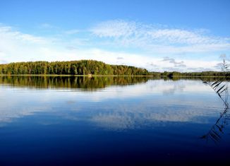 Продается участок, 4766 сот., деревня Дубровка, Вторая улица
