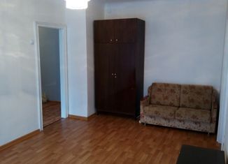 Сдам в аренду однокомнатную квартиру, 33 м2, Новосибирская область, улица Кузьмы Минина, 4А