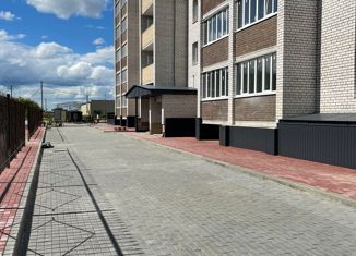 Продаю 3-ком. квартиру, 76.4 м2, деревня Крутые Выселки, Мичуринская улица, 234