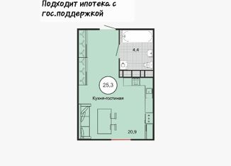 Продам однокомнатную квартиру, 25.3 м2, Михайловск, Князевский переулок, 90