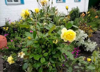 Продажа дома, 48 м2, рабочий посёлок Хомутовка, улица Калинина