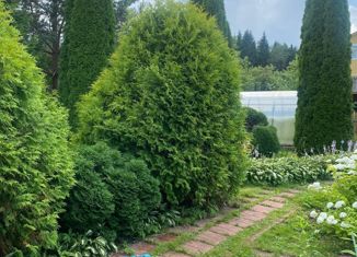 Продается дом, 53.1 м2, деревня Аксинькино, 28Н-0512