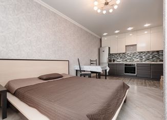 2-комнатная квартира на продажу, 36 м2, Новосибирск, улица Кропоткина, 273