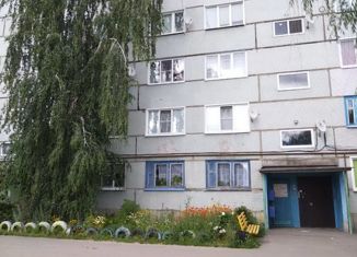 Продается 2-комнатная квартира, 50.1 м2, село Старая Каменка, Молодёжная улица, 8