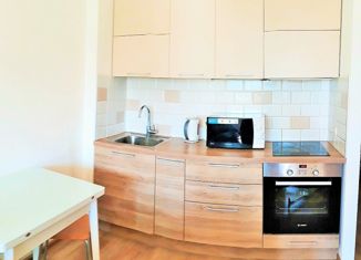 Сдам в аренду квартиру студию, 25 м2, Санкт-Петербург, улица Катерников, 7А, улица Катерников