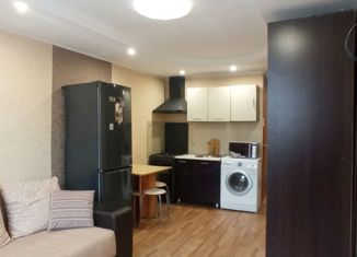 Продаю квартиру студию, 22.4 м2, деревня Хохряки, Тепличная улица, 30