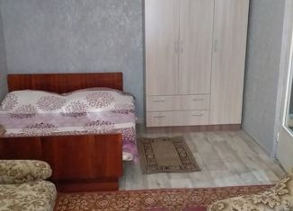 Сдача в аренду 1-комнатной квартиры, 30 м2, Новочеркасск, улица С.В. Мацоты, 44