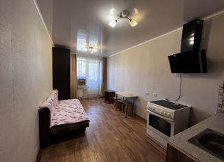 Продаю квартиру студию, 23 м2, село Зубово, улица Бориса Перина, 2