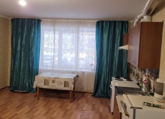 Продам квартиру студию, 30.2 м2, деревня Кондратово, Красавинская улица, 1