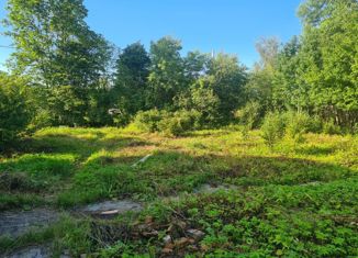 Дом на продажу, 22.8 м2, садоводческий массив Поркузи, садоводческое некоммерческое товарищество Озерки, 112