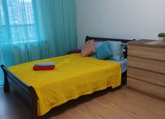 Сдам в аренду квартиру студию, 24.4 м2, Санкт-Петербург, улица Адмирала Черокова, 20, муниципальный округ Южно-Приморский