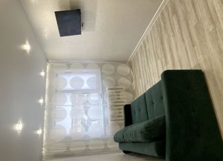 Продажа трехкомнатной квартиры, 60 м2, Новосибирск, улица Кропоткина, 92/1, метро Гагаринская