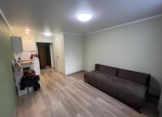 Продается квартира студия, 18 м2, Татарстан, улица Короленко, 40