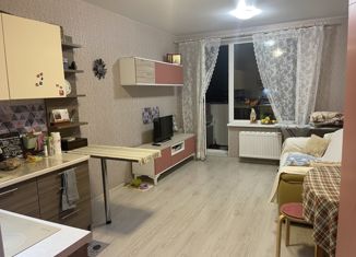 Продаю квартиру студию, 25.5 м2, Санкт-Петербург, проспект Народного Ополчения, 149, муниципальный округ Ульянка