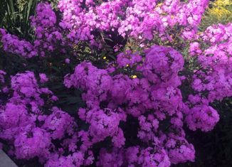 Продам дом, 49 м2, СНТ Родничок-1, Сиреневая улица