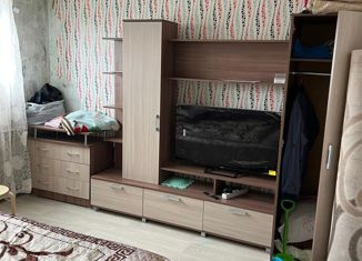 Продажа 1-комнатной квартиры, 31 м2, деревня Чернышевка, Центральная улица, 8