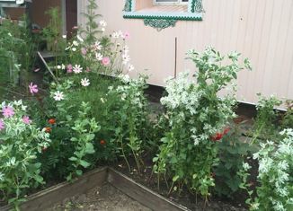 Продаю дом, 48 м2, Казань, Приволжский район, садоводческое некоммерческое товарищество Ивушка Казанского электромеханического завода, 57