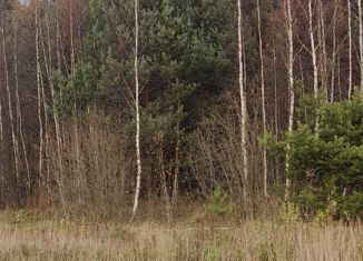 Продаю земельный участок, 11 сот., рабочий посёлок Решетниково, Спасская улица, 2