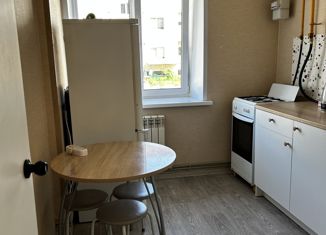 Продается 1-ком. квартира, 26.6 м2, Выкса, улица Слепнева, 13к2