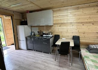Сдается в аренду дом, 30 м2, деревня Ударник