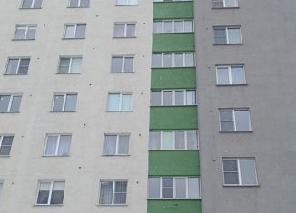 1-ком. квартира на продажу, 42 м2, Рязань, улица Старое Село, 2, район Песочня