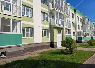 Продается 1-комнатная квартира, 31 м2, сельский посёлок Новинки, Нижегородская улица, 11, ЖК Окский Берег