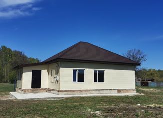 Продается дом, 90 м2, деревня Новогеоргиевка