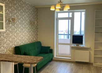 Квартира на продажу студия, 22 м2, Санкт-Петербург, Репищева улица, 10к2, Репищева улица