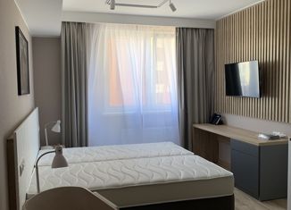 Продам квартиру студию, 22.9 м2, Санкт-Петербург, Заозёрная улица, 3к3, Заозёрная улица