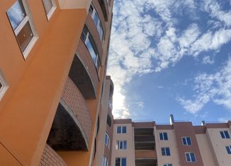 Продаю однокомнатную квартиру, 40 м2, посёлок Красный Бор, Заволжская улица, 1