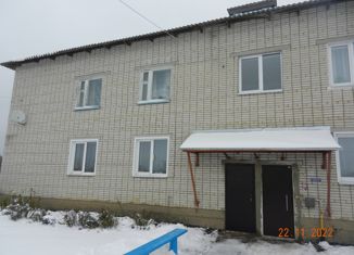 2-ком. квартира на продажу, 47 м2, деревня Паново, Чапаевская улица, 3