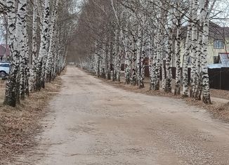 Продается участок, 25 сот., село Шелокша, Берёзовая улица, 3