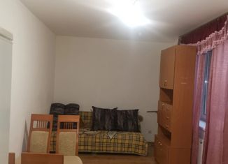 Аренда 1-комнатной квартиры, 29 м2, Колпино, улица Севастьянова, 28к2