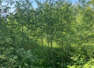 Продается земельный участок, 15 сот., деревня Селищи