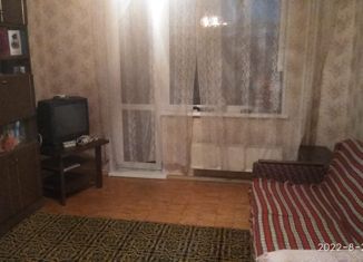 Сдаю в аренду двухкомнатную квартиру, 48 м2, Екатеринбург, улица Чкалова, 143, улица Чкалова