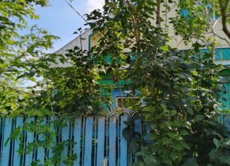 Дом на продажу, 60 м2, Татарстан, Первомайская улица