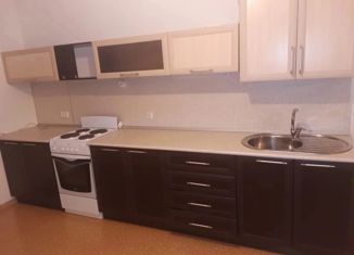 Сдам в аренду двухкомнатную квартиру, 60 м2, Альметьевск, улица Ленина, 195