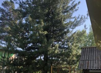 Дом на продажу, 40 м2, СПК Юбилейный, СПК Юбилейный, 202