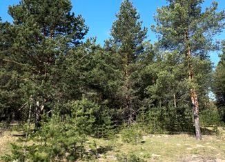 Участок на продажу, 1000 сот., деревня Дворики