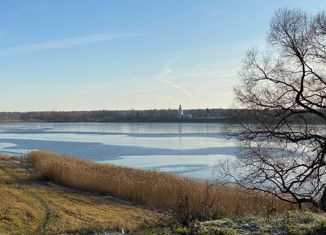 Продам земельный участок, 30 сот., деревня Бражниково, Благовещенская улица
