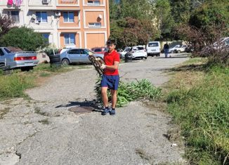 Продажа 1-комнатной квартиры, 30 м2, Сочи, микрорайон Блиново, Лесная улица, 20