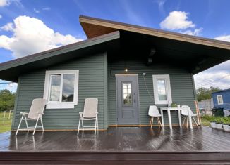 Продаю дом, 49 м2, дачный поселок Степаньковские дачи, дачный посёлок Степаньковские дачи, 32