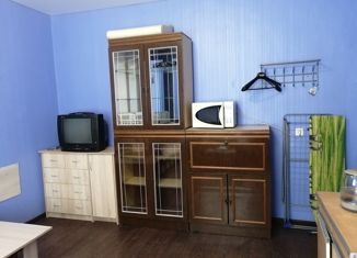 Аренда 1-ком. квартиры, 25 м2, Екатеринбург, улица Миномётчиков, 62, улица Миномётчиков