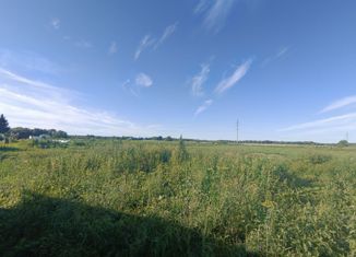 Продажа участка, 8 сот., село Червишево