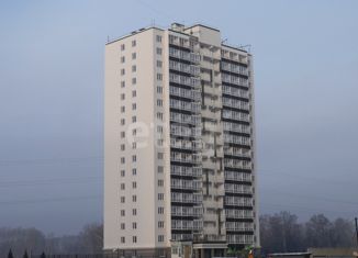 Продажа квартиры студии, 20 м2, Новосибирск, метро Площадь Маркса