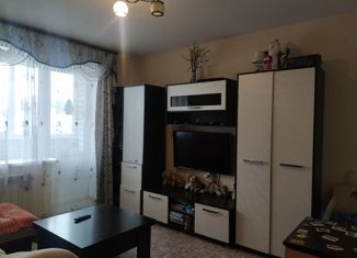 1-комнатная квартира на продажу, 33.6 м2, Бабаево, улица Механизаторов, 18А